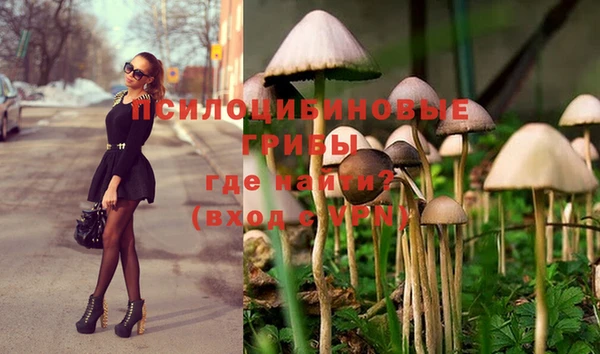 марки lsd Карпинск
