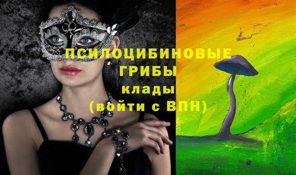 марки lsd Карпинск