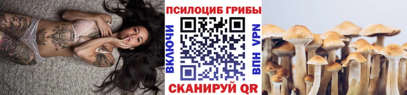 Псилоцибиновые грибы GOLDEN TEACHER Ялуторовск